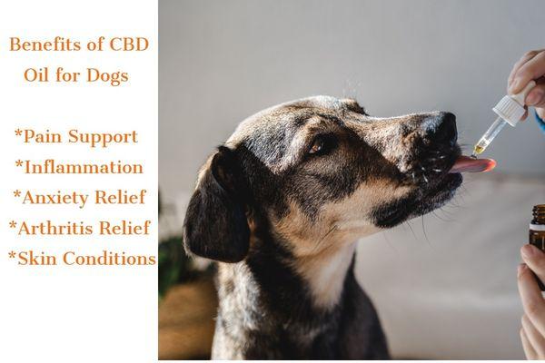 CBD Oil for Pets, Bacon Beef and Chicken flavors.  Dosing for Pets from for 4 pounds to 125 pounds.