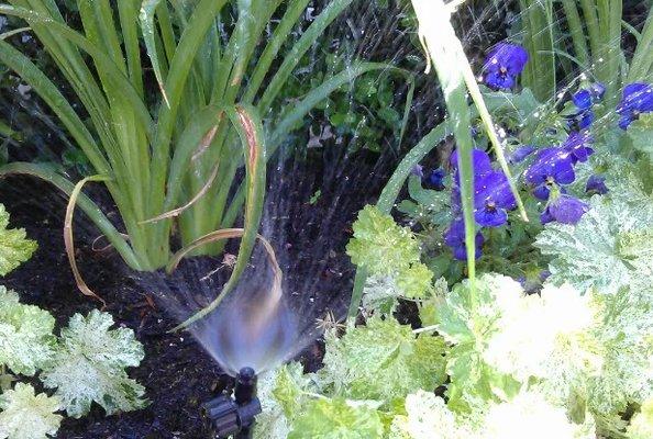 Micro drip sprays for small planting areas