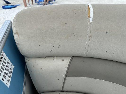 mold on seats