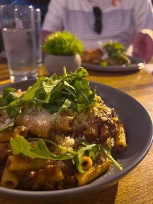 Lamb ragu and rigatoni entree