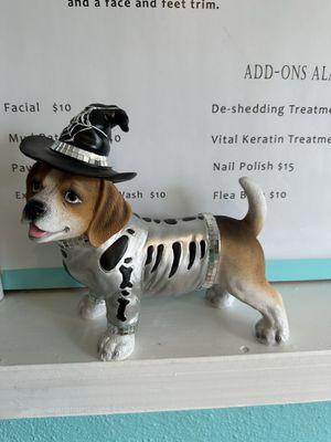 Waiting room decorated for Halloween, costumed dog.