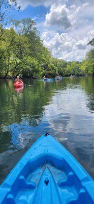 We are kayaking on homes creek back from cypress  Springs.  Beautiful  and so much fun