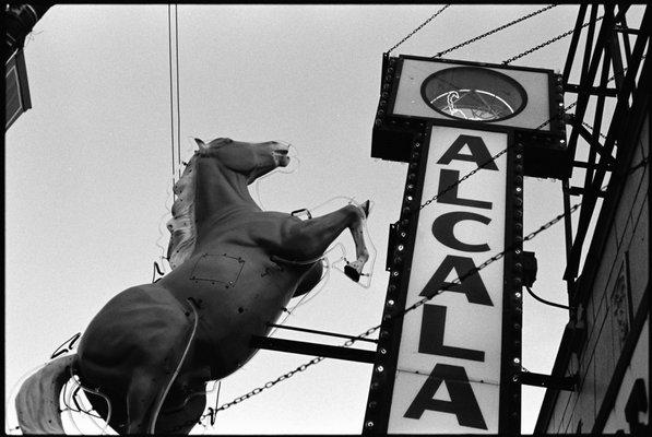 Alcala's Western Boots