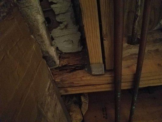 Damaged and rotted floor joist.