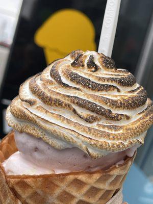 Double scoop baked Alaska