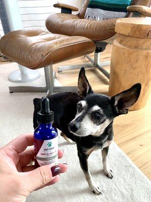 Pet Relief Hemp Oil 200mg and my pup