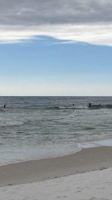 Gulf Coast Surf School