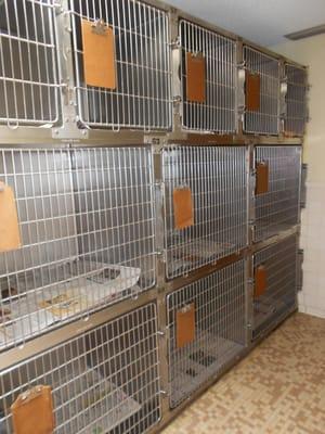 Kennel Ward