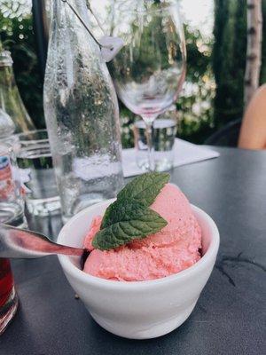 Raspberry sorbet