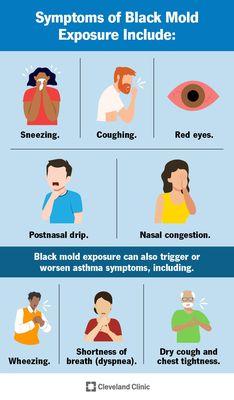 Effects of black mold (source: Cleveland Clinic)