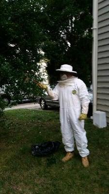 Bees and Hornets can be very dangerous, our experienced technicians use the most efficient and environment responsible techni...