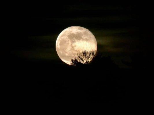 Full pink super moon over the course