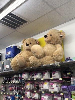 Huge teddies