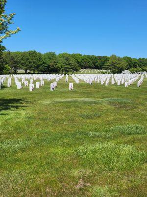 Flags placed at every grave for Memorial Day