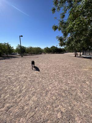 Dog park