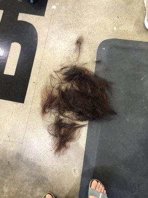 Hair taken off during trim and layering