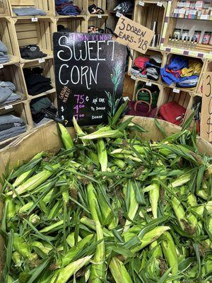 Sweet corn