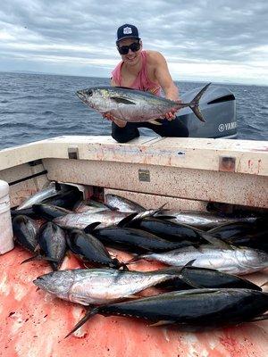 Boat Limit, 20 Yellowfin Tuna