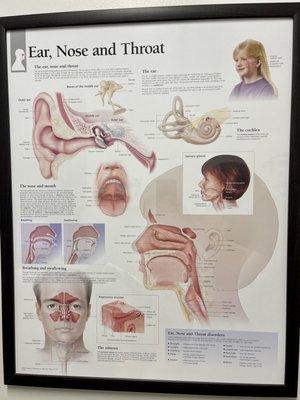 Poster in patient room