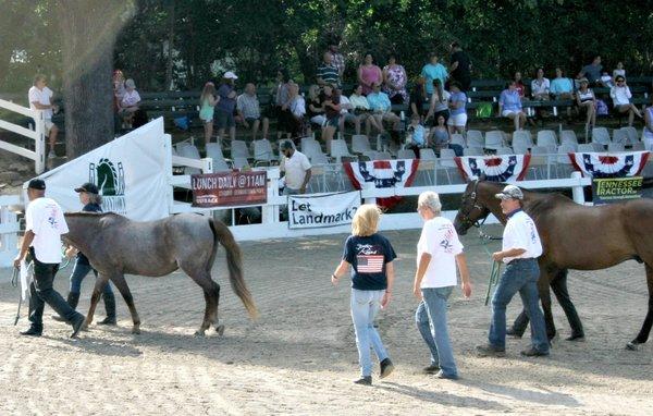 Clients of Alpha Omega Veterans Services leading horses at the Germantown Charity Horse Show with Southern Reins Center for Equine Therapy