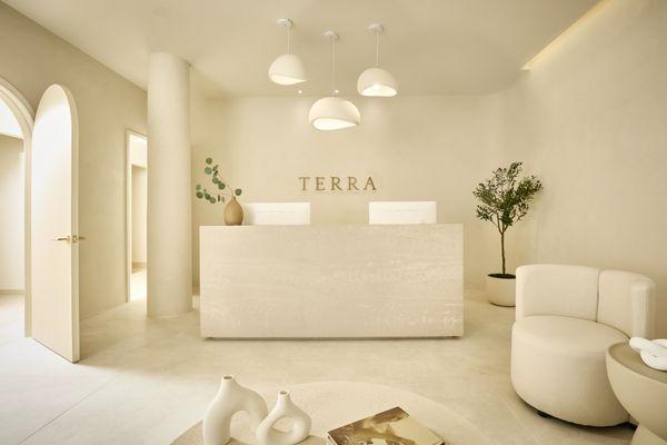 Terra - Reception