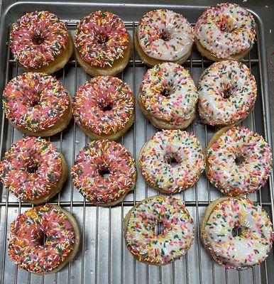 Sprinkles Raised Donuts