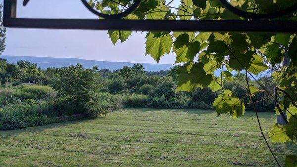 View from the deck