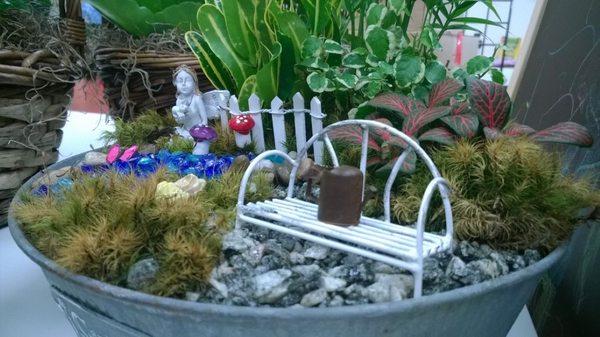 Fairy Garden