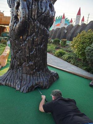 Watching my brother try to get his golf ball from under the tree