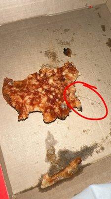 Piece of hair in pizza