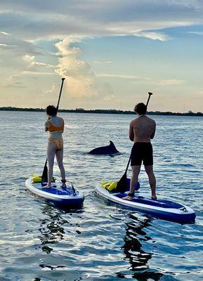 Biscayne Bay Paddleboard & Kayaks