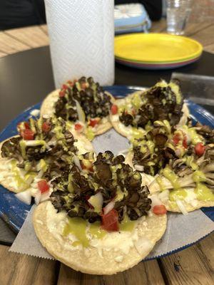 Miatake mushroom taco