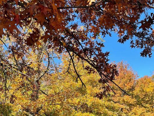 Patuxent Research Refuge