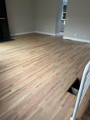 Refinished floors