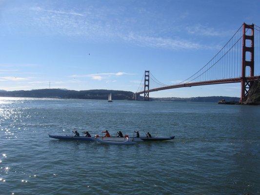 San Francisco Bay is a wonderful place to smell the roses