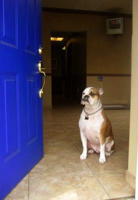 Roscoe Welcomes You To East Rockaway Veterinary Hospital