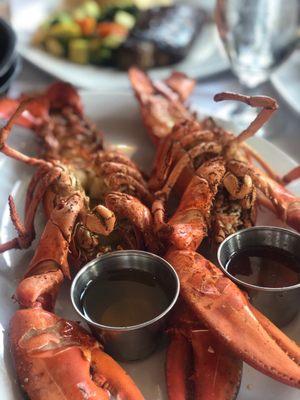 Twin lobster 1lb 1/4