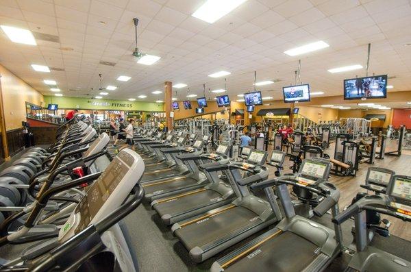 Treadmills and Cardiovascular Equipment