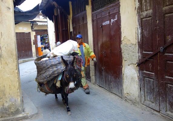 Tours in Morocco