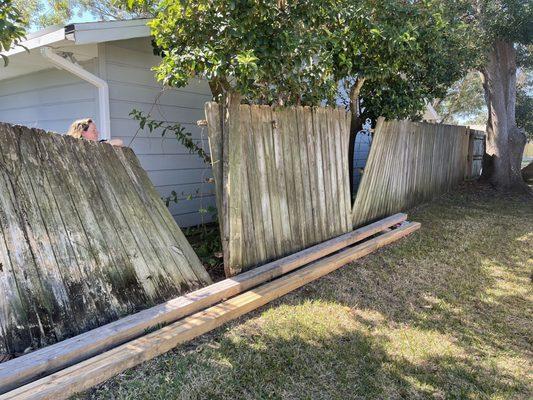 Fence between yards