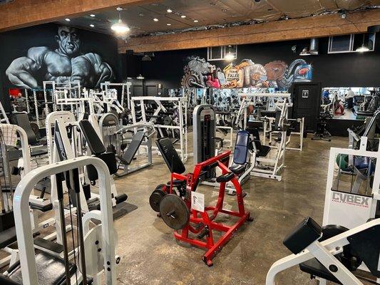 Strength machines, free weights & squat racks on the back wall