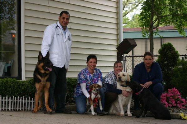 Kenilworth Animal hospital