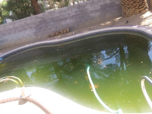 GREEN POOL BEFORE