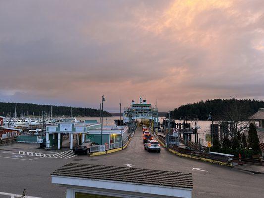 Friday Harbor Drug