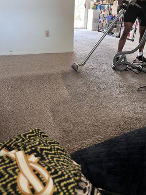 Cliff Carpet Cleaning