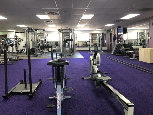 New 1,000 square feet functional training turf