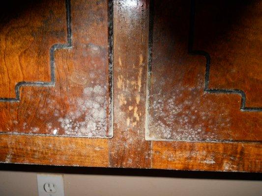 Moldy Cabinets