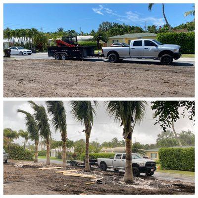 Before and after Maypan coconut palm install