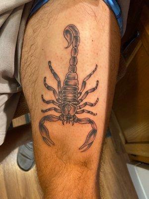 Scorpion