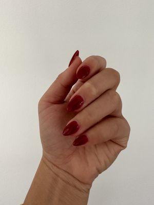 Sns w tip nails - color is 172 opi